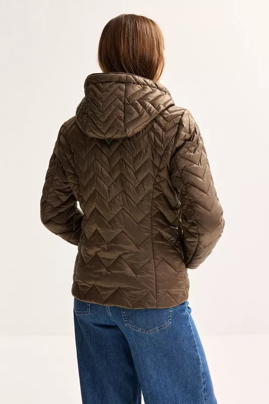 MAYERLINE - OLA2-V COCOA BROWN