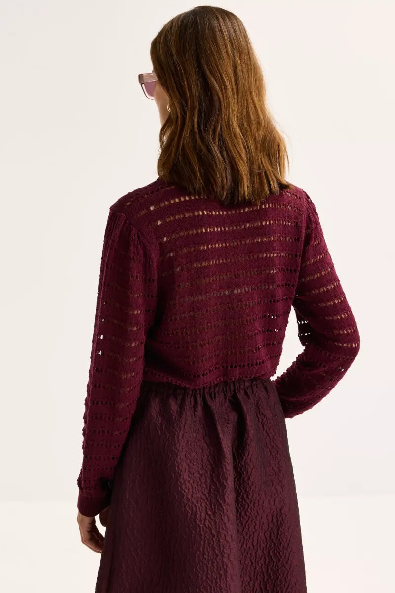 MAYERLINE - ALLY WINDSOR