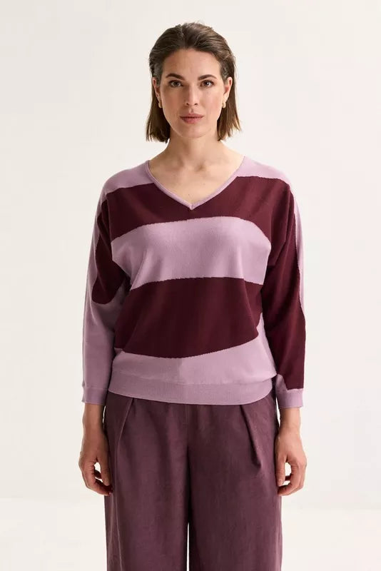 MAYERLINE - ANDORRE GRAPE NECT