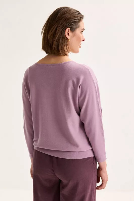 MAYERLINE - ANDORRE GRAPE NECT