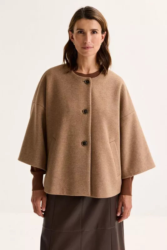 MAYERLINE - ODUA - FOSSIL