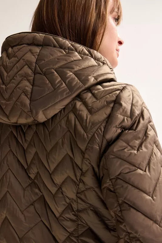 MAYERLINE - OLA2-V COCOA BROWN