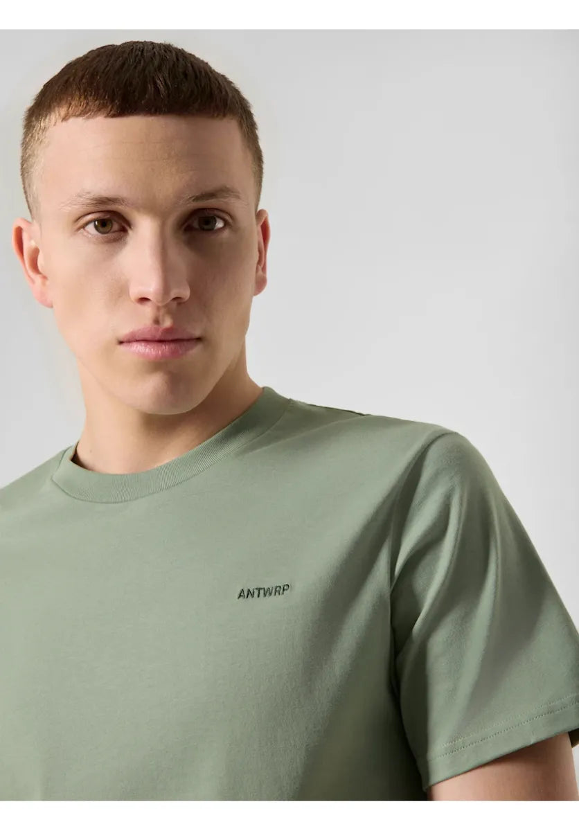 ANTWERP - BTS517-L001S GREEN ASH