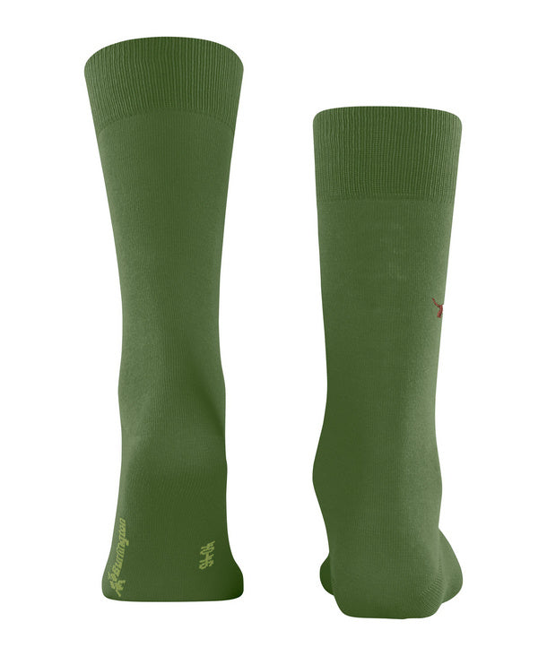BURLINGTON - 21405/7656 BRIT STYLE FIR GREEN