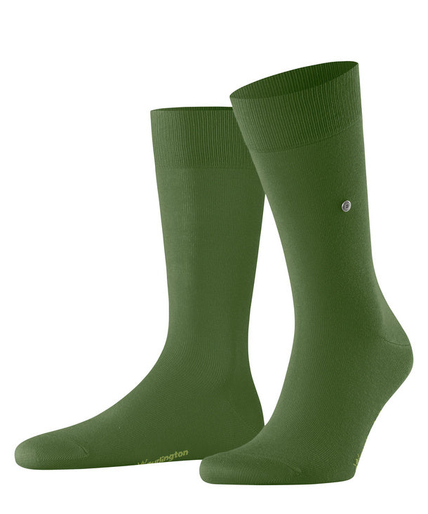BURLINGTON - 21405/7656 BRIT STYLE FIR GREEN
