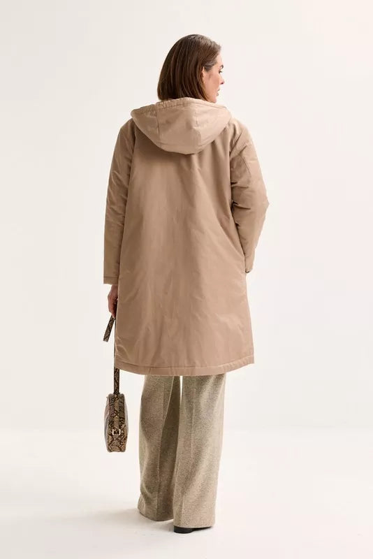 AMELINE- OPHELIA1-V TURTLEDOVE