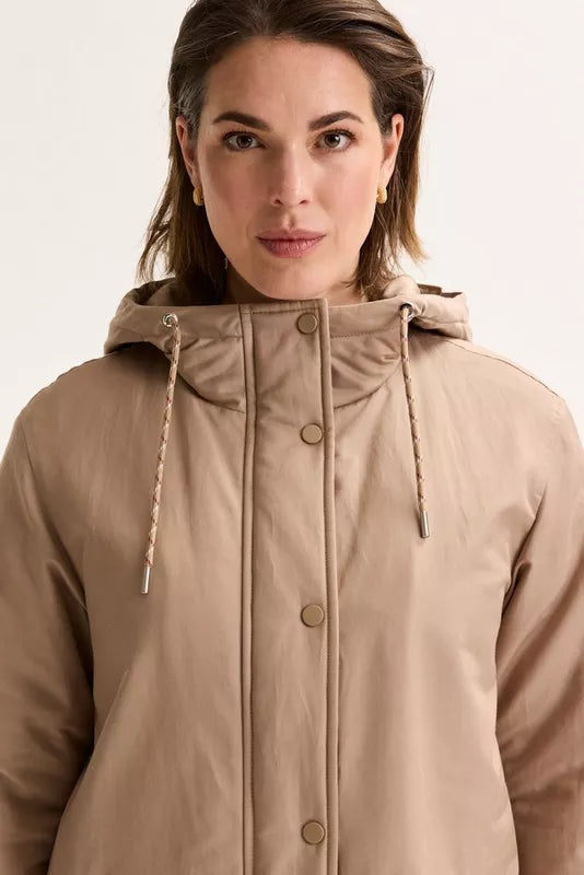 AMELINE- OPHELIA1-V TURTLEDOVE