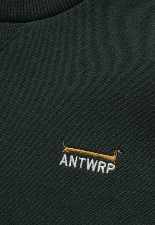 ANTWERP - BSW469 SWEATER