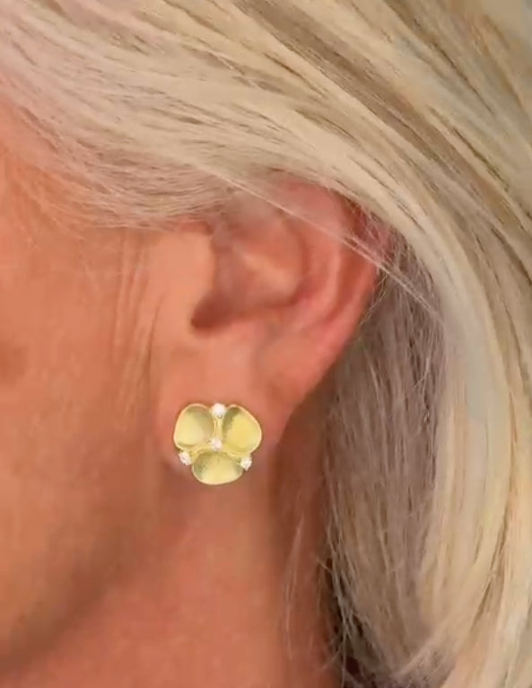 SOPHIE : Oorbellen silver rose