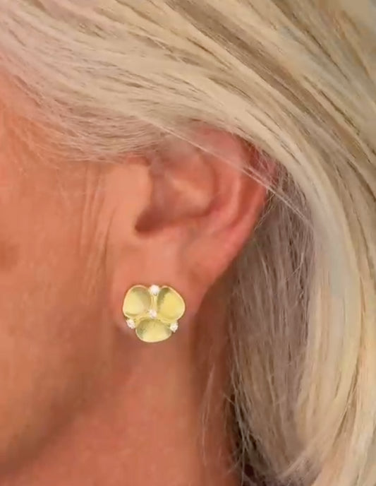 SOPHIE : Oorbellen silver rose