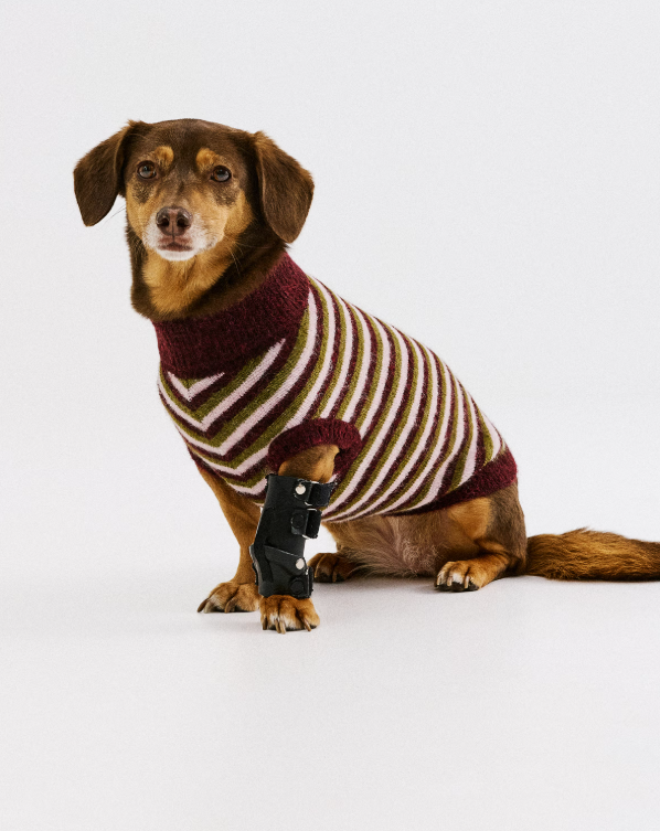 CKS - PARFUMDOG RDD