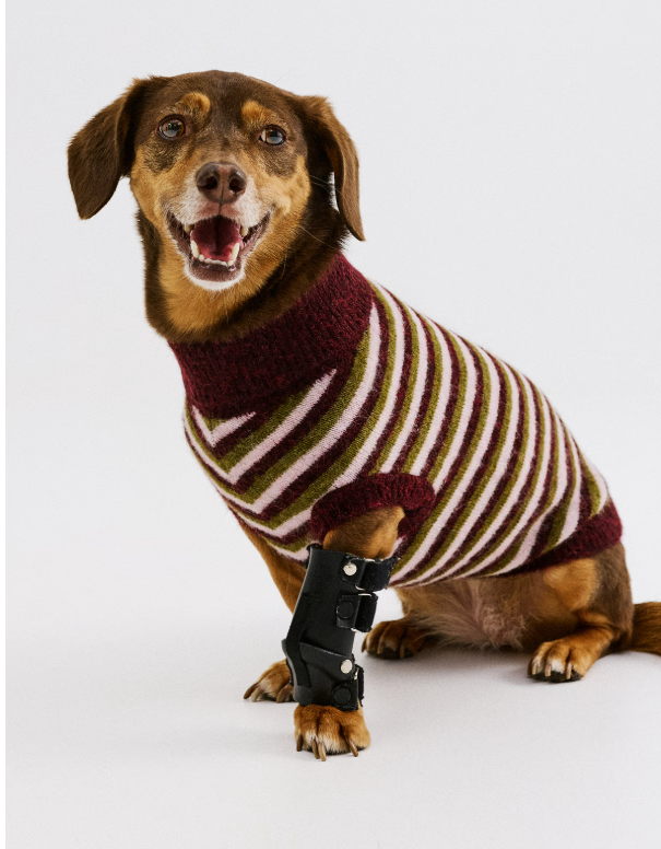 CKS - PARFUMDOG RDD