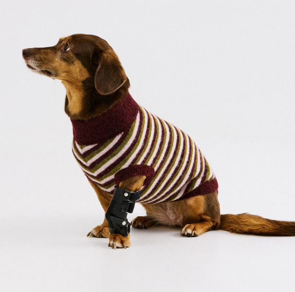 CKS - PARFUMDOG RDD